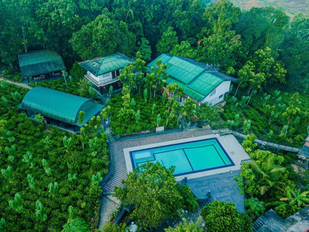 Aerial view of Diya Ulpatha: a blue swimming pool and green-roofed buildings surrounded by dense trees